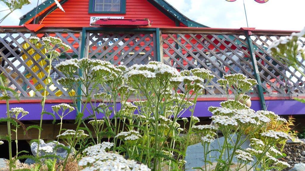 Mountain Thyme Getaway Hotel Barkerville Buitenkant foto